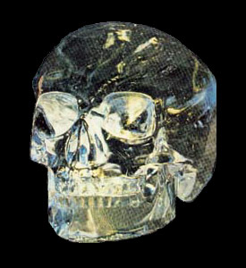 Skull